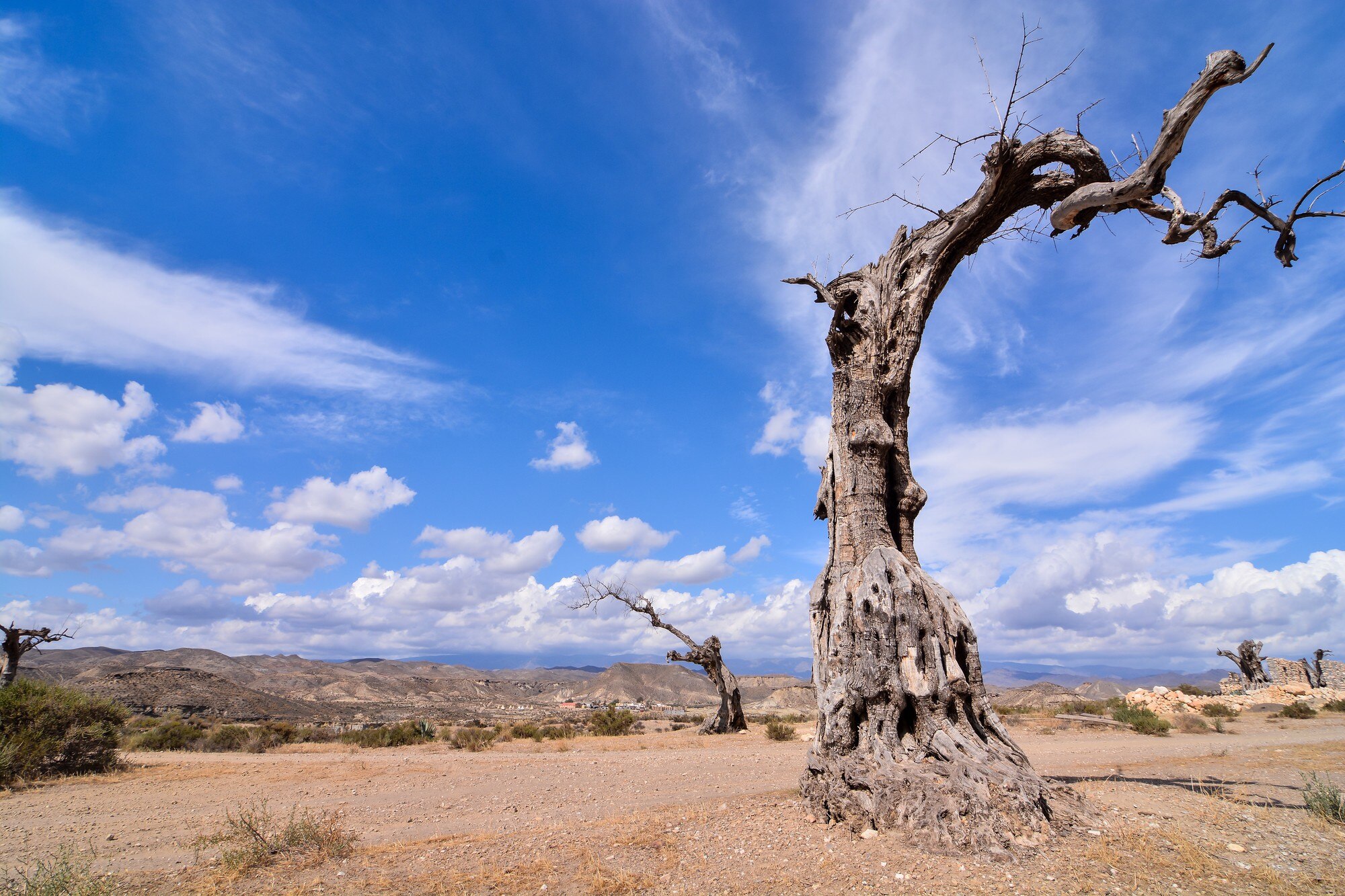 Paisaje árido